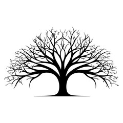 Tree silhouette. Abstract image of a tree without leaves.