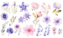 Collection Of Soft Watercolor Flowers Blossoming Isolated On A Transparent Background, Generative Ai