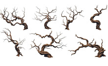Collection Of Twisted Tree Roots Isolated On A Transparent Background, Generative Ai