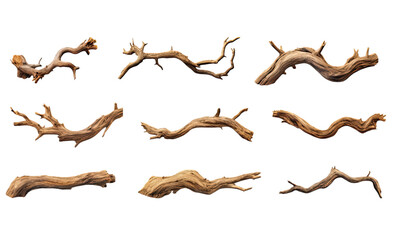 Wall Mural - collection of twisted tree roots isolated on a transparent background, generative ai