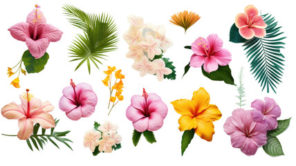 Sticker - collection of tropical beach flowers isolated on a transparent background, generative ai