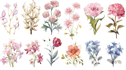 Sticker - collection of soft pastel bouquets of soft pastel flowers isolated on a transparent background, gene