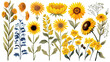 collection of hand drawn daisies and sunflowers flowers isolated on a transparent background, generative ai