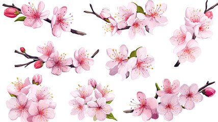 collection of hand drawn cherry blossoms flowers isolated on a transparent background, generative ai