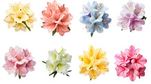 Collection Of Soft Pastel Azaleas Flowers Isolated On A Transparent Background, Generative Ai