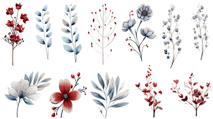 Wall Mural - collection of hand drawn winter flowers isolated on a transparent background, generative ai