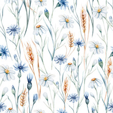 Watercolor Wildflowers Seamless Pattern With Poppy, Cornflower Chamomile, Rye And Wheat Spikelets Background