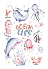 Set Of Sea Animals. Blue Watercolor Ocean Fish, Turtle, Whale And Coral. Shell Aquarium Mermaid Background. Nautical Dolphin Marine Illustration, Jellyfish, Starfish