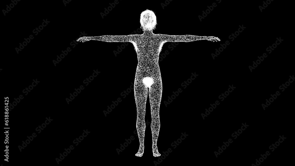 3D naked woman on black bg. Medical animation of a woman with breast. 3d female or woman anatomy