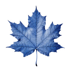 isolated bright blue maple leaf. generative ai