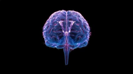 Wall Mural - hologram brain spinning in a 3d animation