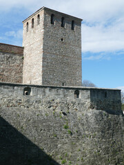 Wall Mural - Massive walls and towers on the Danube River, Baba Vida Fortress