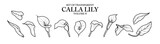 Cute hand drawn isolated black outline of calla lily on transparent background png file (Volume 4)