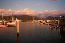 Australian City Cairns In Queensland, View To Port With The Boats In The Evening, Sunset Or Sunrise On The North Eastern Coast Of Australia, Smooth Water With Birds