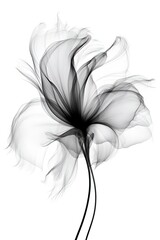 abstract magnolia petals, black and white illustration. Generative AI