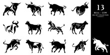 Bull And Cow Set. Premium Logo. Stylized Silhouettes Of Bull And Cow Standing In Different Poses. Isolated On White Background. Bull Logo Design Set. Horned Bull Cow Vector Icon.
