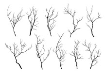 Vector Collection Of Black Silhouettes Of Tree Branches Isolated On White Background