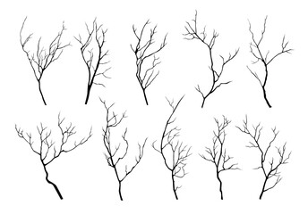 vector collection of black silhouettes of tree branches isolated on white background