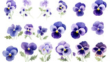 collection of hand drawn pansies flowers isolated on a transparent background, generative ai
