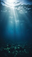 Wall Mural - underwater scene with rays of light