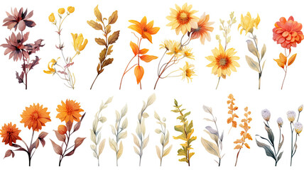 Wall Mural - a collection of grunge oil painted autumn flowers isolated on a transparent background, generative a