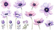a collection of soft watercolor anemones flowers isolated on a transparent background, generative ai