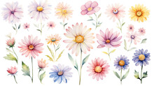 A Collection Of Soft Watercolor Daisies Flowers Isolated On A Transparent Background, Generative Ai