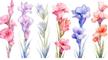 A Collection Of Soft Watercolor Gladiolus Flowers Isolated On A Transparent Background, Generative Ai