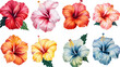 a collection of grunge oil painted hibiscus flowers isolated on a transparent background, generative ai