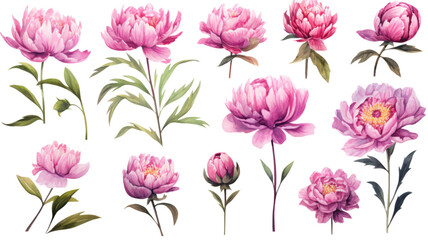 Sticker - a collection of grunge oil painted peonies flowers isolated on a transparent background, generative 