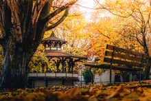 Gazebo In The Park During Autumn