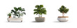 collection Set of different styles of outdoor seats and tree pot in modern design cutouts isolated on transparent background - Generative AI