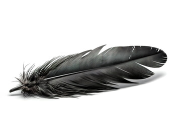 Wall Mural - Image of black feather on white background. Illustration, Generative AI.