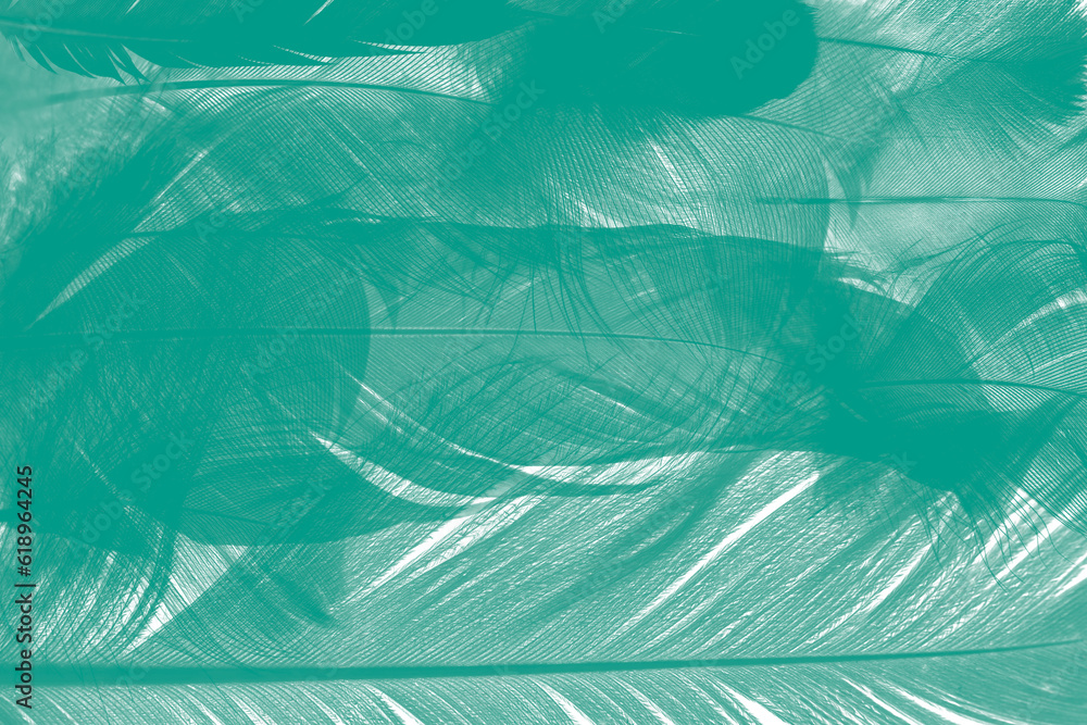 Beautiful dark green vintage color trends feather texture background