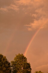 Poster - Double Rainbow