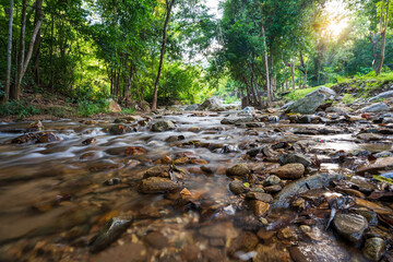 Wall Mural - waterfall stream with rocks or many small stones on nature clear motion flow water with green trees forest in natural garden rainforest at Phalad Waterfall in Lan sang national park for wild landscape