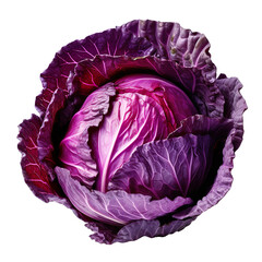 front view of Red Cabbage vegetable isolated on transparent white background