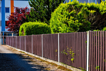 Wall Mural - Wooden fence along the street and green plants in Germany