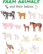 Female Farm Animals With Offspring. Cow And Calf, Sheep, Lamb, Pig And Piglet, Horse, Foal, Goat With Kid, Chicken, Chicks, Duck And Ducklings, Turkey With Poults, Goose, Goslings, Rabbit With Bunnies