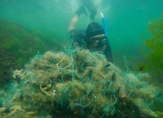 freediver picks up lost fishing net lies on green algae in sun glare on shallow water in black sea, 