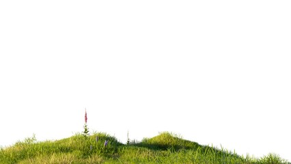 Aufkleber - Grass field with animation footage on white background, 3D illustrations rendering 