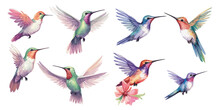 Watercolor Hummingbird Clipart For Graphic Resources