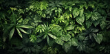 Fototapeta Las - Backdrop of Nature green background, nature view of dark green leaf and palms background nature concept, tropical and green leaf of nature backdrop. Generative AI.