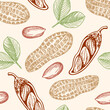 Vintage hand drawn seamless pattern with peanuts.