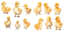 Watercolor Baby Duck Clipart For Graphic Resources