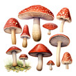 © SRITE KHATUN - Hand painted watercolor clipart of red mushroom set