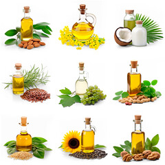 Collection of oils in bottles with nuts, seeds and leaves: almond, canola, coconut, flaxseed, grape seed, peanut, sesame seed, sunflower, walnut. Transparent background