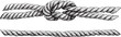 Set of knotted ropes realistic cords knot in vector. Nautical thread whipcord with loops and noose. Twisted, braided, folded, spiral fiber. Illustration hand drawn black graphic isolated background.