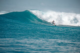 Fototapeta Sawanna - Surfer on perfect blue aquamarine wave, empty line up, perfect for surfing, clean water, Indian Ocean