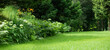 piękny naturalny ogród z trawnikiem, paprociami i hortensjami, leśny ogród
